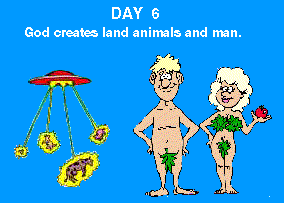 Day 6-Animals and Man are Made