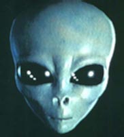 Face of an Alien Gray