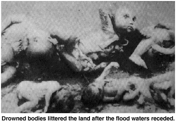 Dead bodies litter the land