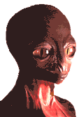 Reptile Man